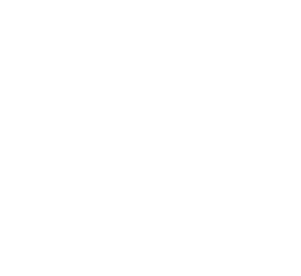 We are proud of the progress we have made this year including our Partnership with Blueprint for all, which included    