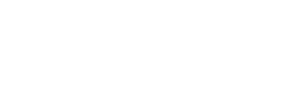 commitment to care