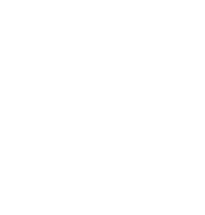 More than 1,500 double decker bus loads of veg prepped each year